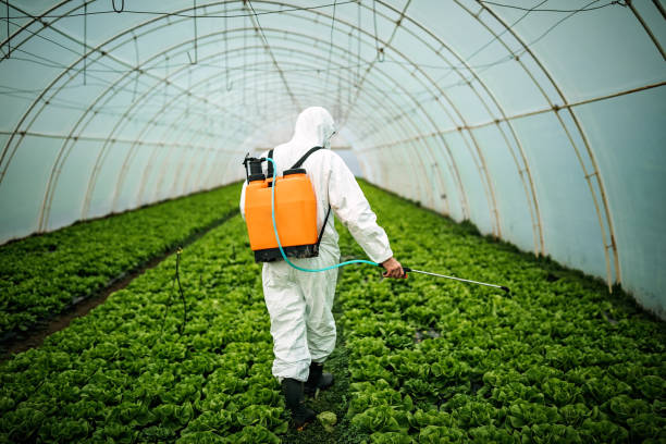 Best Affordable Pest Control Services  in Kimberly, AL