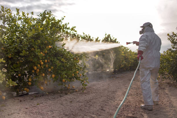 Best Best Pest Control Companies  in Kimberly, AL
