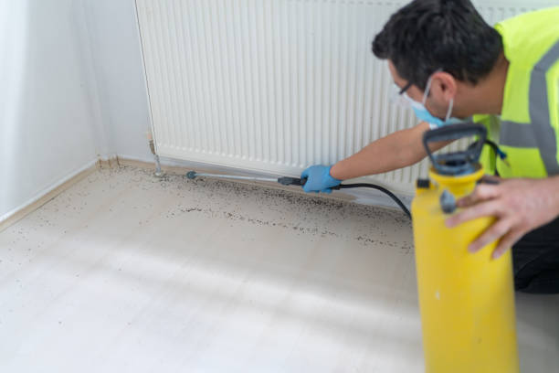 Best Pest Control Treatment  in Kimberly, AL