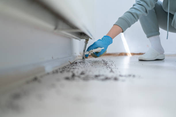 Best Commercial Pest Control Services  in Kimberly, AL